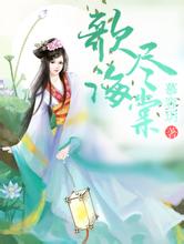 2004新澳门天天开好彩浪卡子seo服务